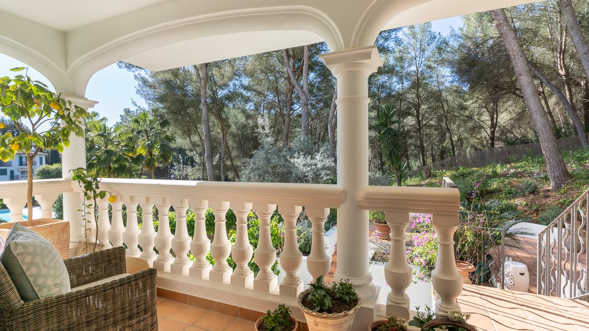 Terrasse couverte avec balustrade blanche et sol en terre cuite face à une forêt de pins luxuriante.