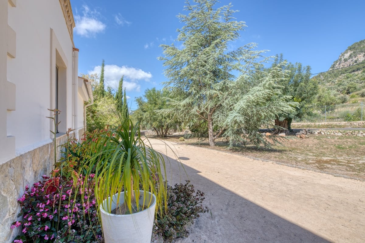 Allée de jardin ensoleillée bordant une villa blanche avec soubassement en pierre et arbres matures à Majorque.