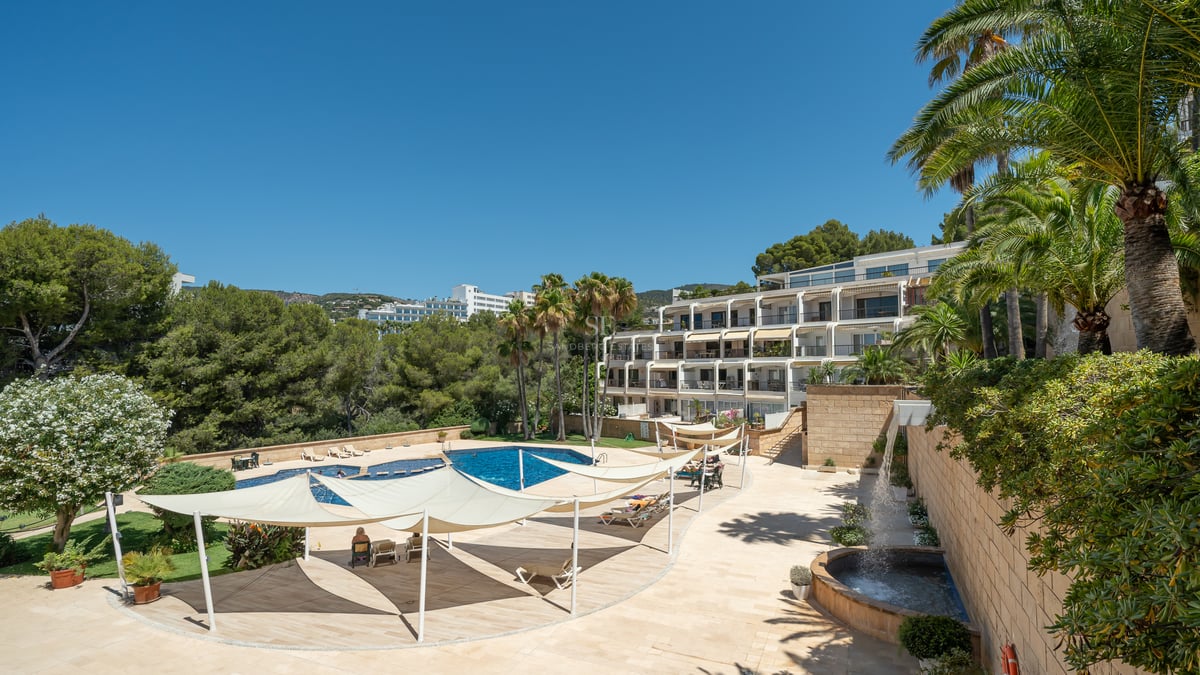 Une grande piscine bleue entourée d'une terrasse en pierre avec des voiles d'ombrage blanches et des palmiers sous un ciel bleu.