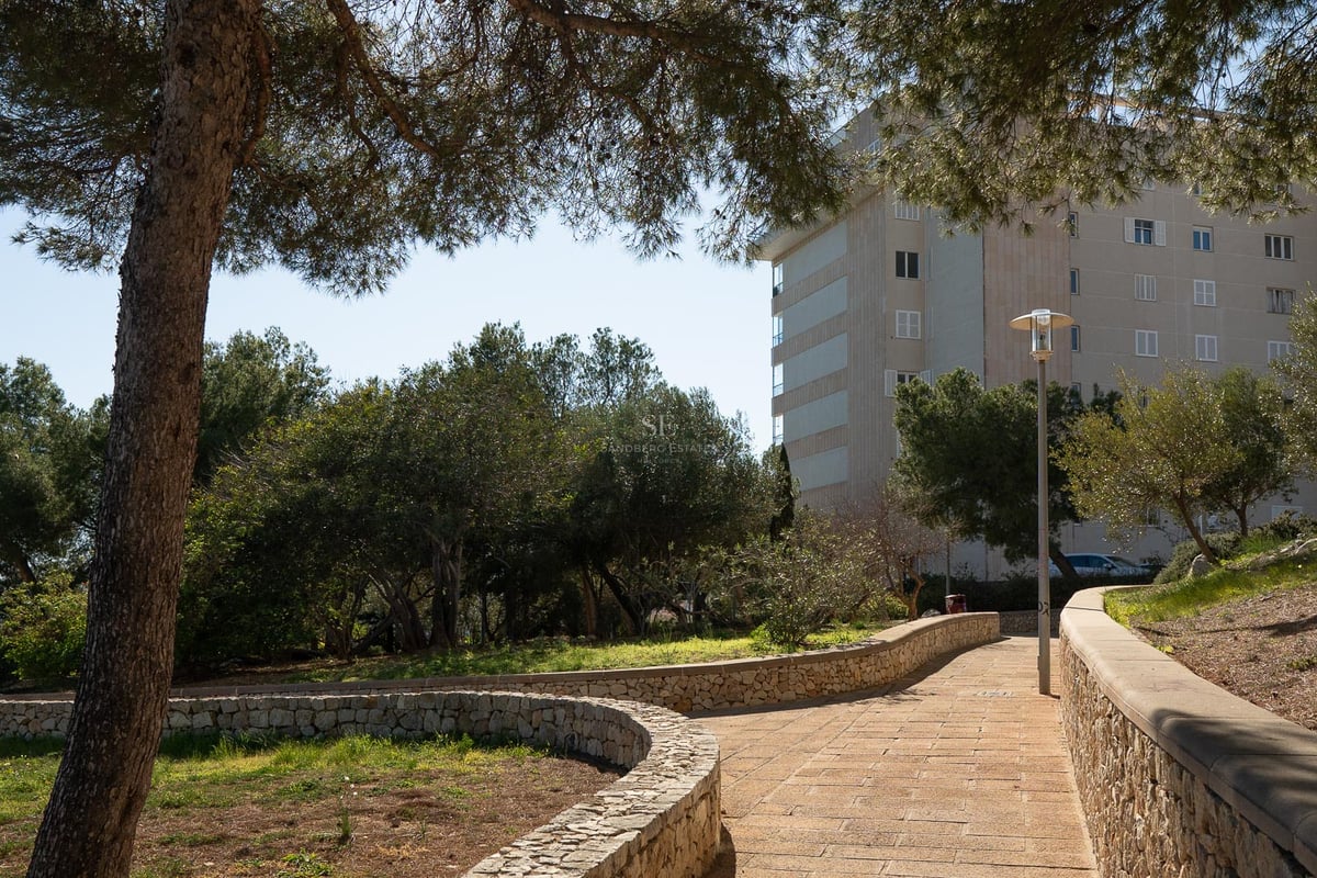 Un chemin pavé incurvé bordé de murets en pierre naturelle et de pins matures menant à un bâtiment résidentiel.