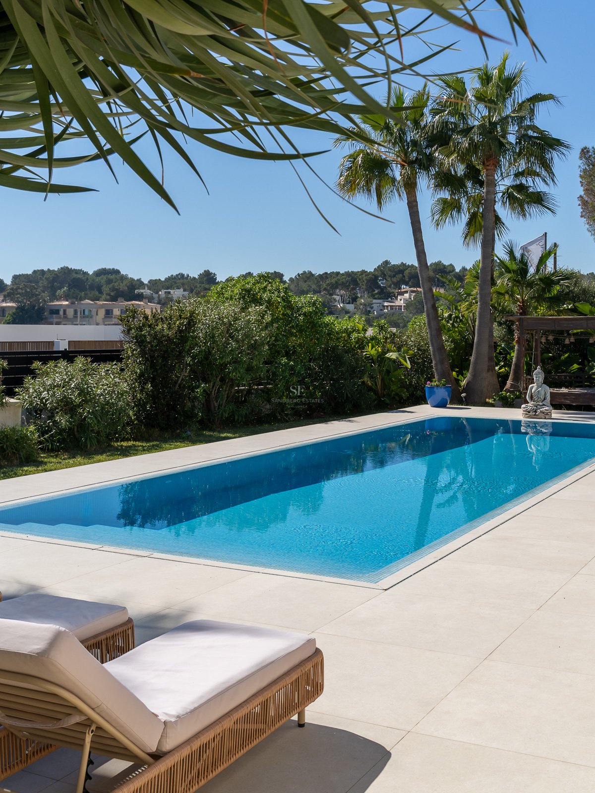 Piscine turquoise rectangulaire sur patio en pierre claire, avec transats au premier plan et palmiers sous ciel bleu.
