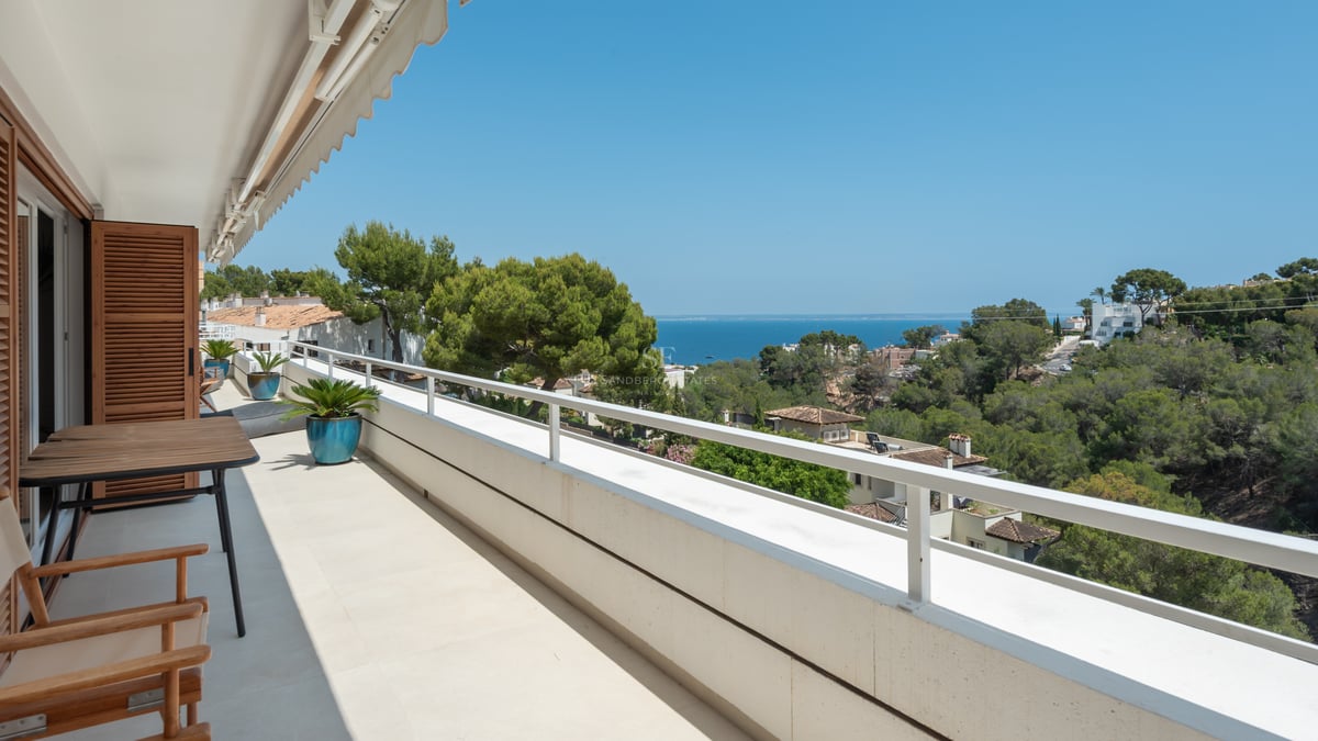 Terrasse blanche avec meubles en bois, pots bleus et vue panoramique sur la mer et les pins sous un ciel dégagé.
