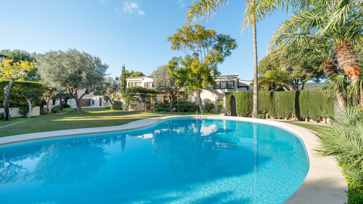 Grande piscine de forme libre entourée d'une pelouse verte et de palmiers devant une villa blanche.