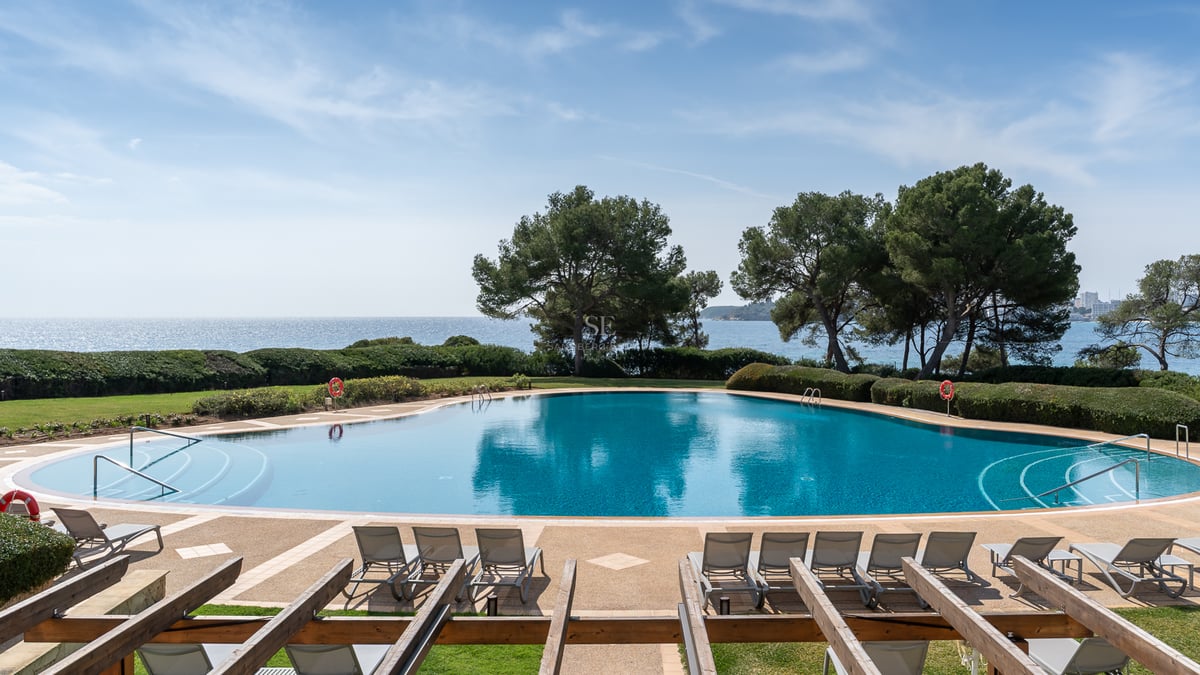 Grande piscine courbe avec vue sur la mer, entourée de chaises longues et de pins sous un ciel bleu.