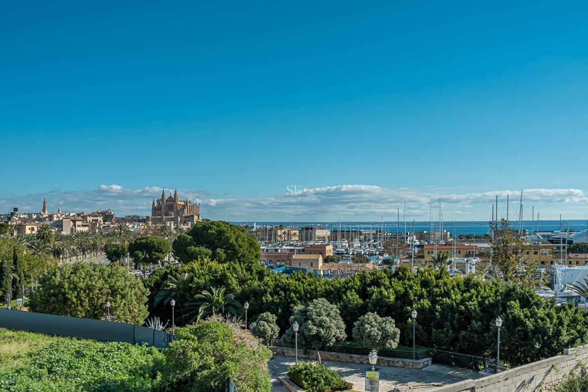 Vue panoramique surplombant des arbres vers la cathédrale de Palma et un port rempli de voiliers sous un ciel bleu.