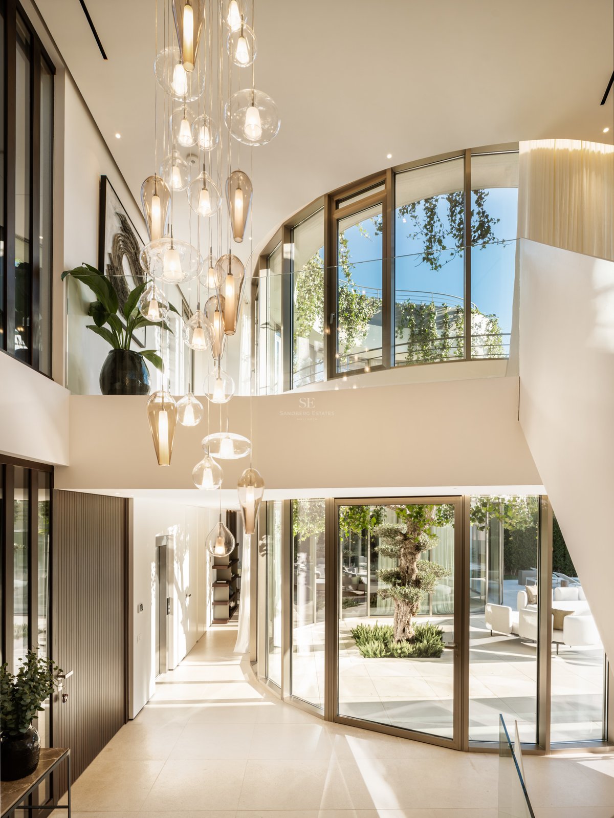 Hall d'entrée lumineux avec lustre en verre, parois vitrées incurvées et vue sur un patio intérieur avec olivier.