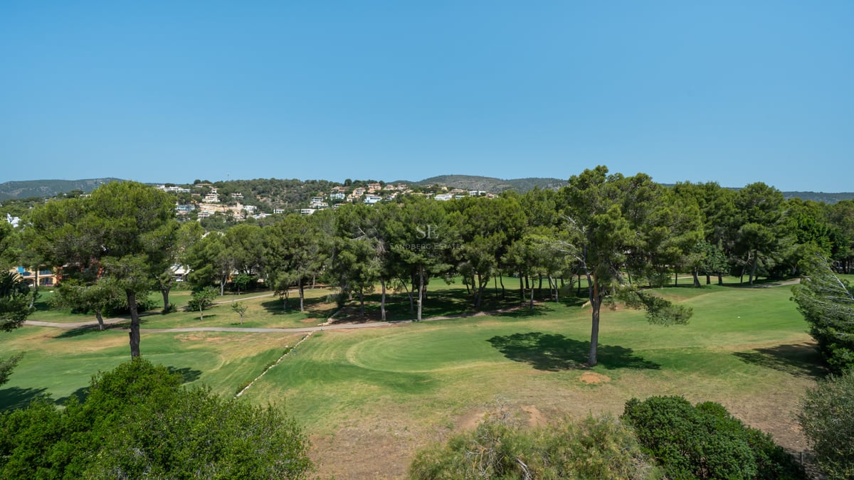 Vue en hauteur d'un terrain de golf verdoyant bordé de pins sous un ciel bleu azur.