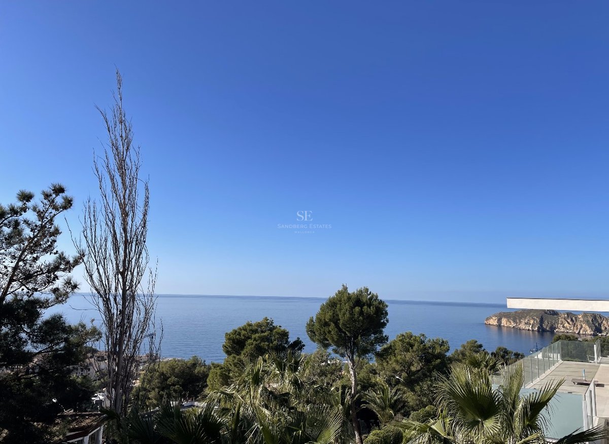 Vue en plongée de la mer Méditerranée bleue encadrée par des pins et un garde-corps moderne en verre.