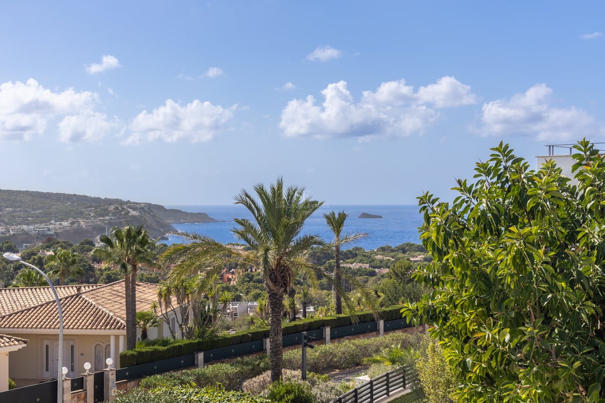 Vue surélevée d'un paysage côtier avec des palmiers, des toits en terre cuite et la mer Méditerranée bleue au loin.