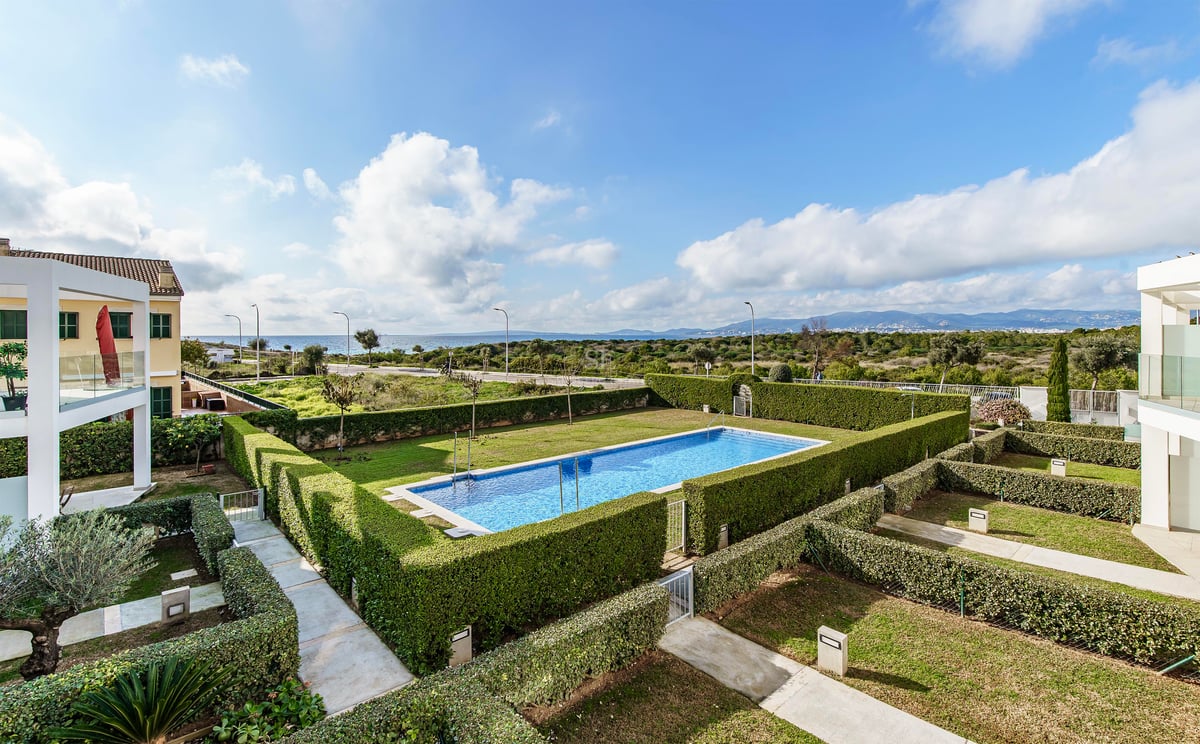 Piscine rectangulaire bleue entourée de haies vertes taillées avec vue sur la mer au loin sous un ciel bleu.