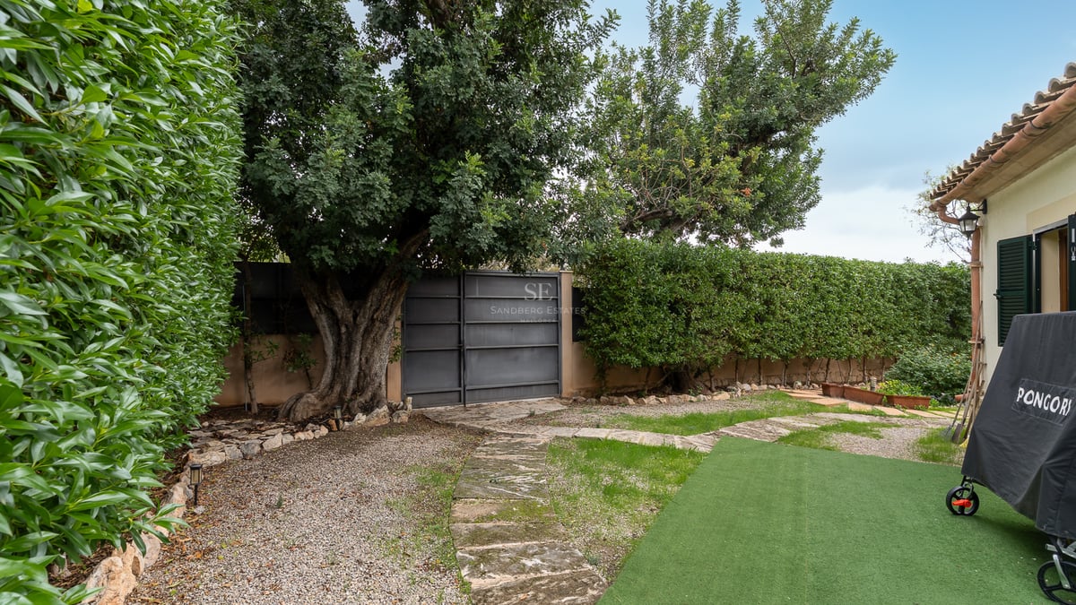 Jardin privé avec allée en pierre, hautes haies, un grand arbre mature et un portail métallique sous une lumière naturelle.