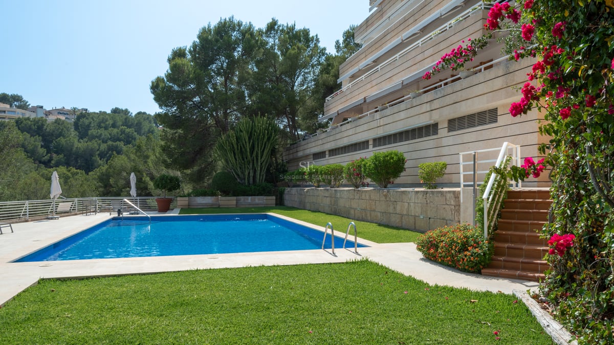 Piscine rectangulaire entourée d'une pelouse, de bougainvilliers et d'un bâtiment en pierre sous un ciel bleu.