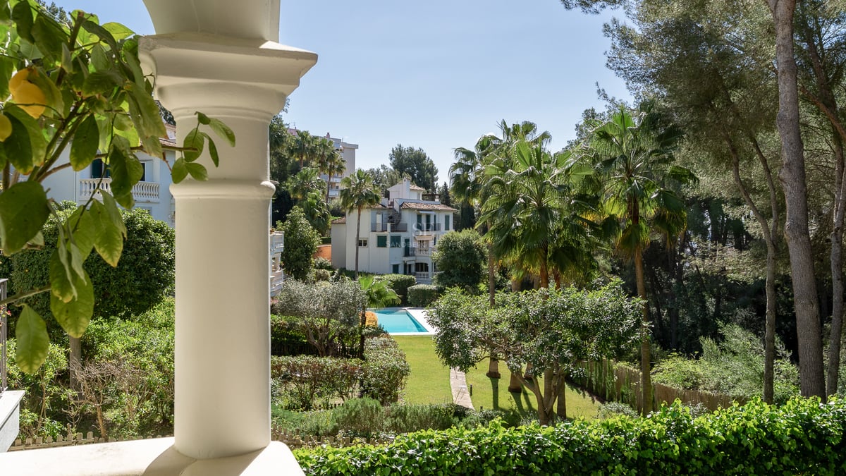 Vue depuis une colonne blanche sur un jardin verdoyant avec une piscine bleue et des palmiers sous un ciel clair.
