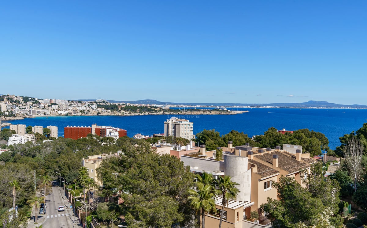 Vue panoramique surélevée d'une baie bleue, de bâtiments côtiers et de pins sous un ciel dégagé.