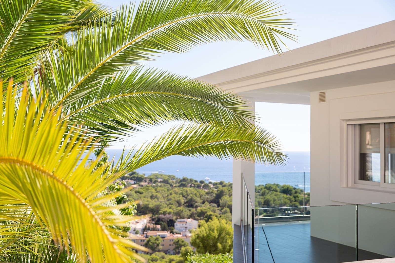 Vibrant palm fronds framing a white modern terrace with glass railings overlooking a lush valley and the blue sea.