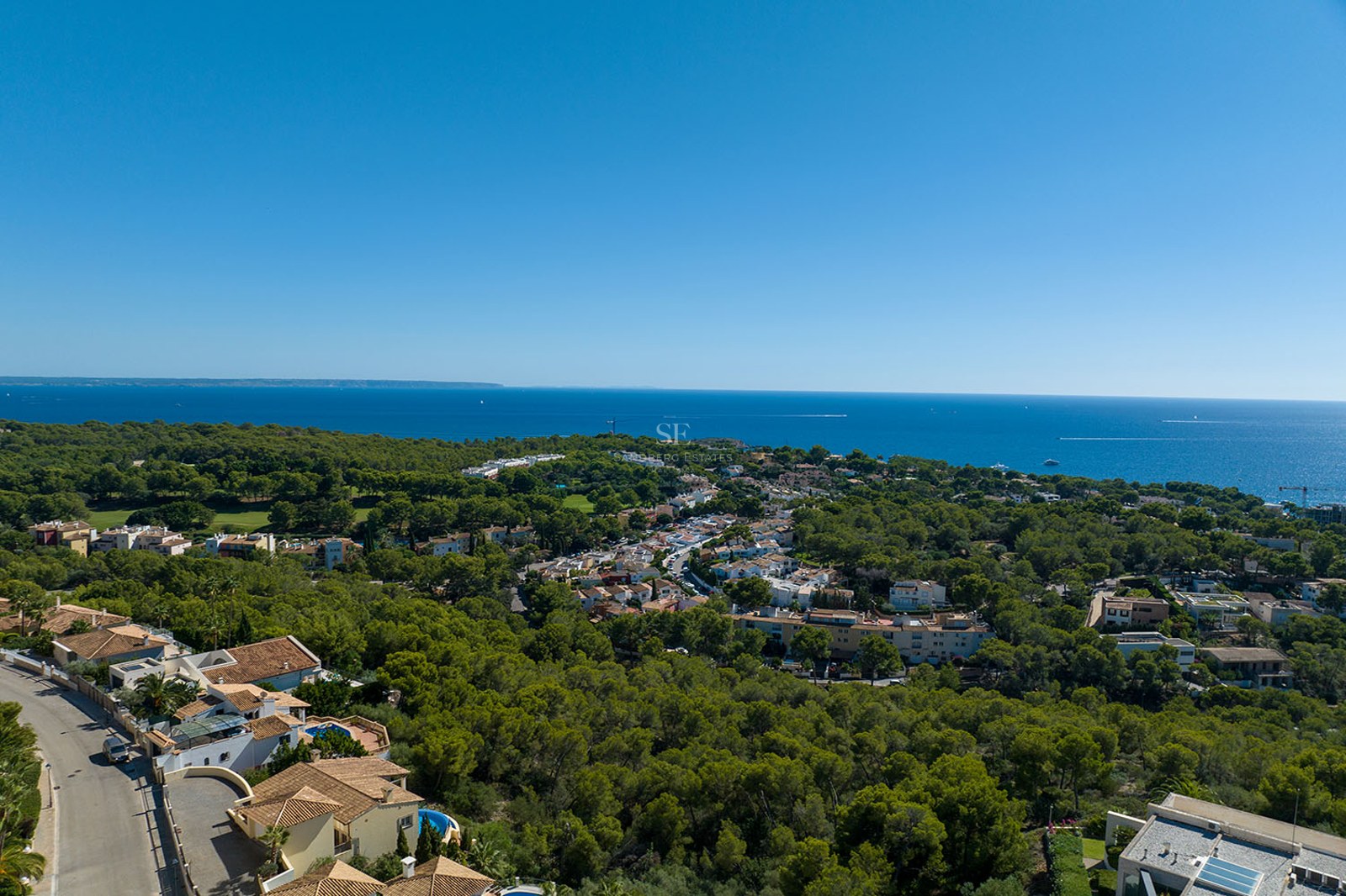 Aerial drone view of a lush green forest meeting a residential coastal town with the deep blue sea on the horizon.