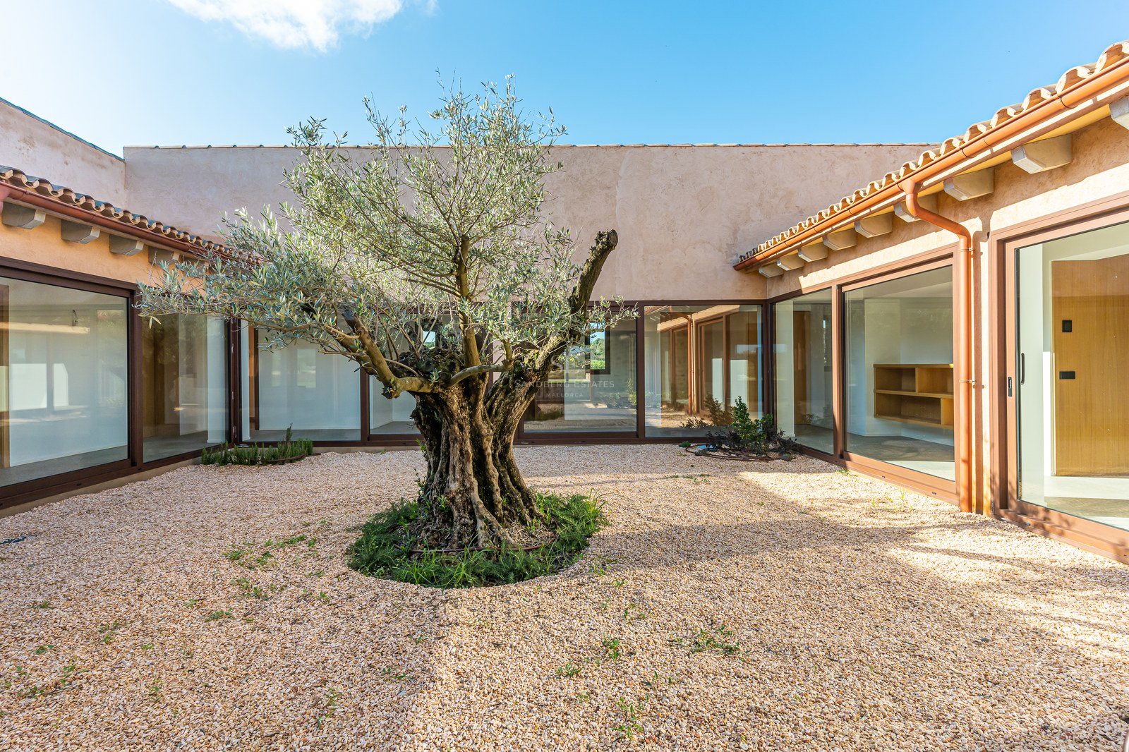 A central courtyard featuring an old olive tree, light gravel, large glass windows, and a terracotta roof.