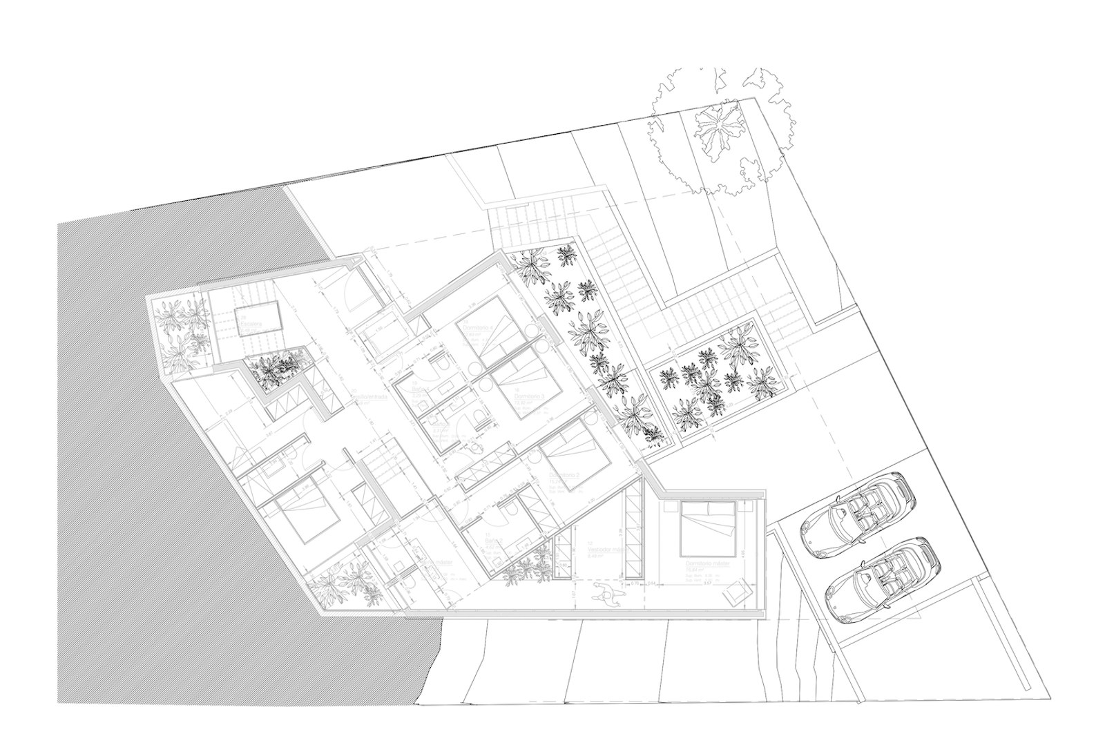 Top-down architectural floor plan showing bedrooms, bathrooms, hallways, and outdoor parking area with two cars.