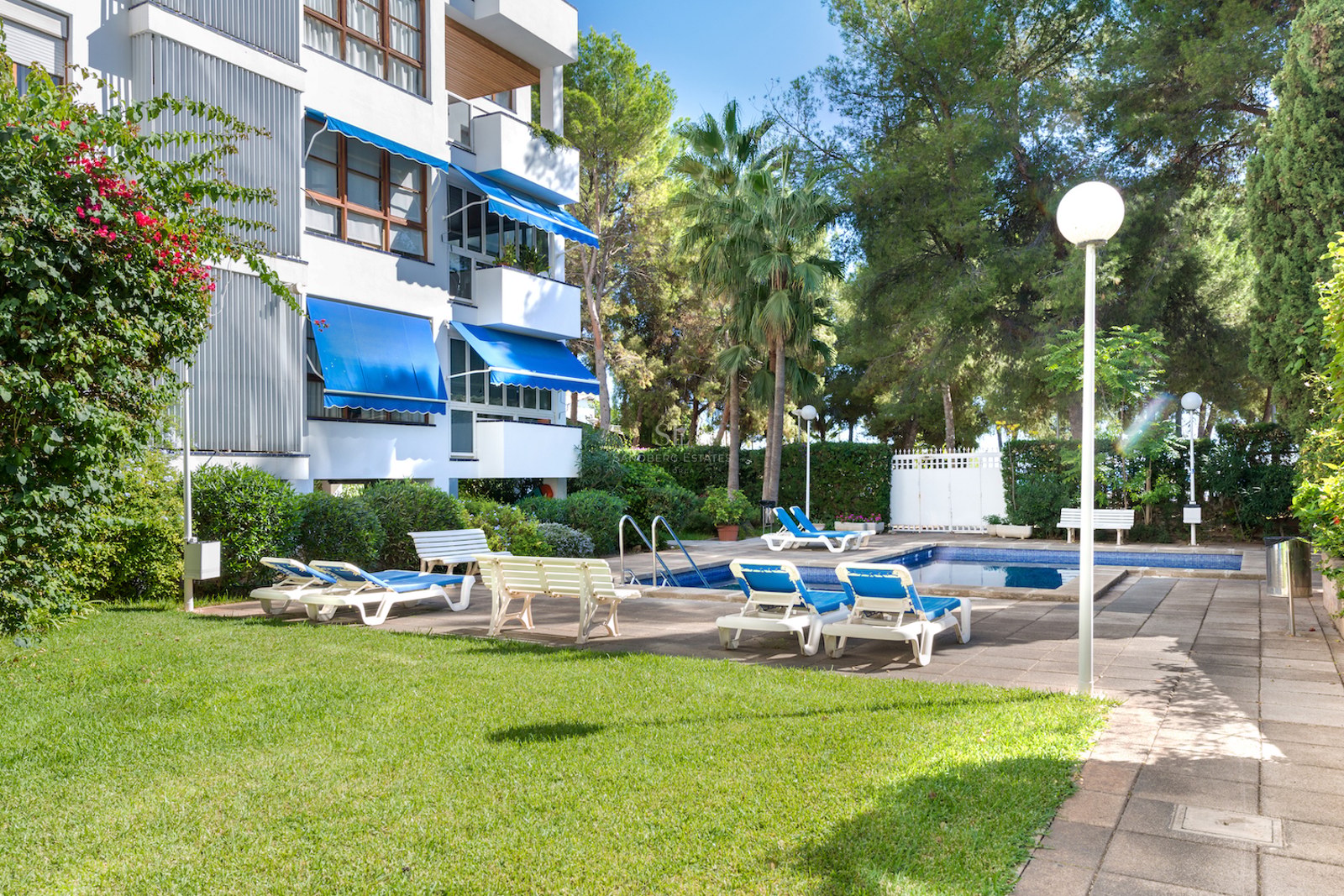 Outdoor swimming pool surrounded by sun loungers, green lawn, and palm trees next to a white apartment building.