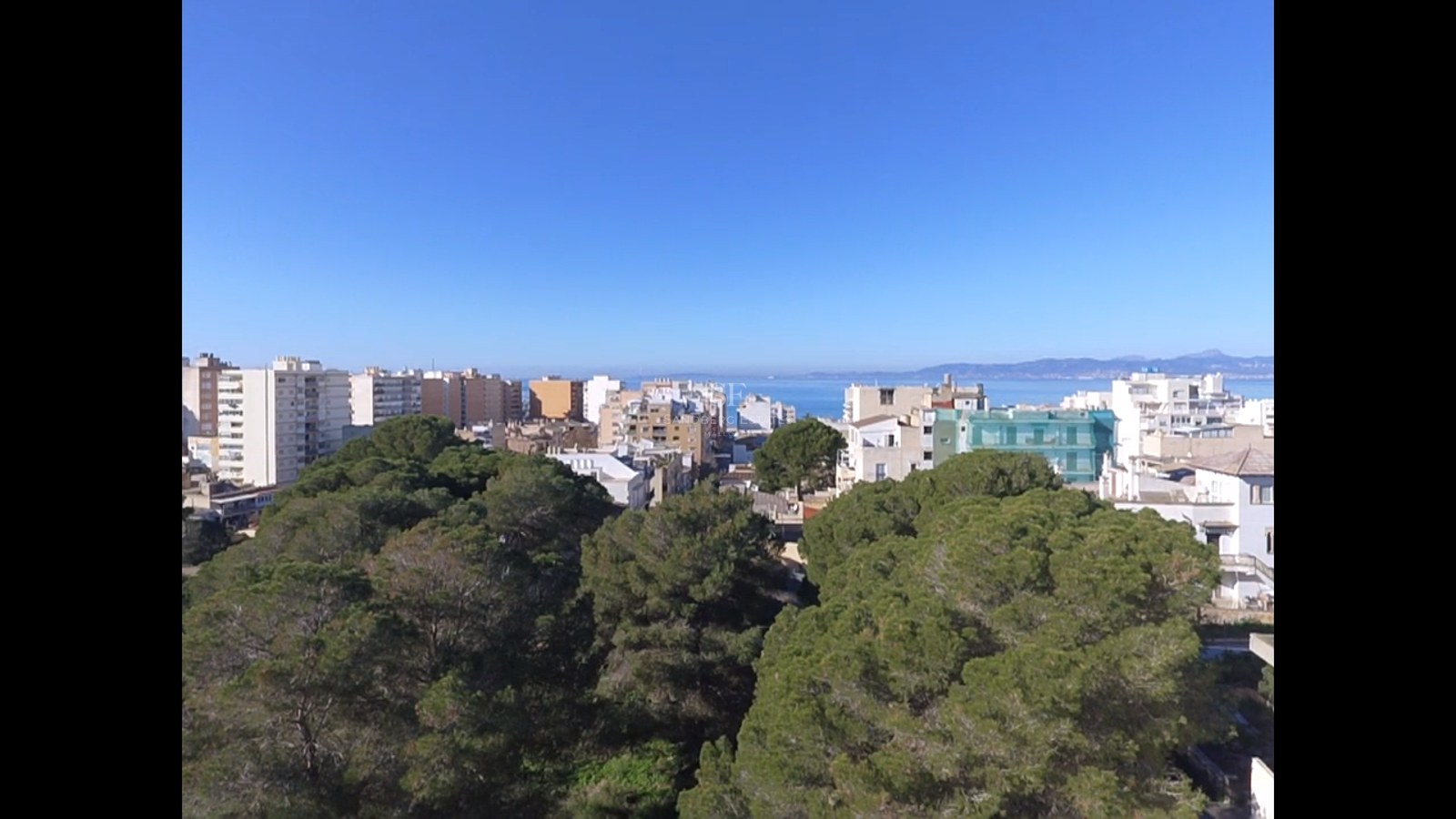 High-angle view over lush green treetops towards white urban buildings and the blue sea under a clear sky.
