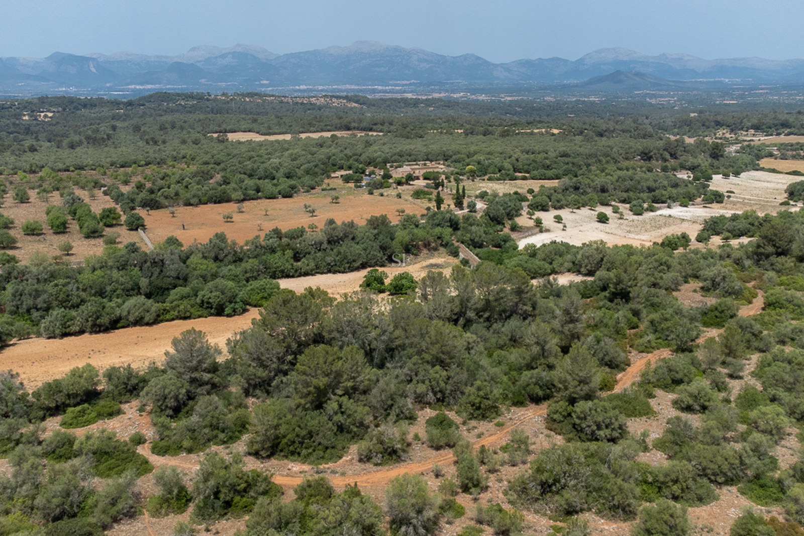 Aerial view of a large rural estate with olive groves, forests, and distant mountains under a clear sky.