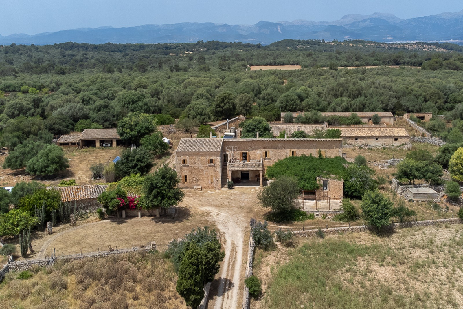 Aerial shot of a large stone finca surrounded by lush olive groves with mountains in the background.