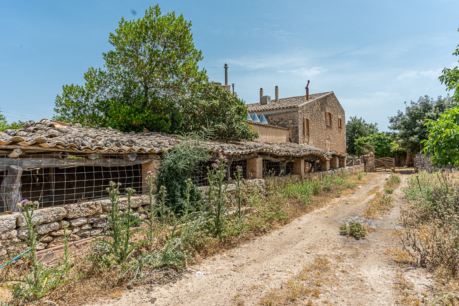 Traditional stone building with a terracotta roof next to a dirt path and lush green trees under a clear blue sky.