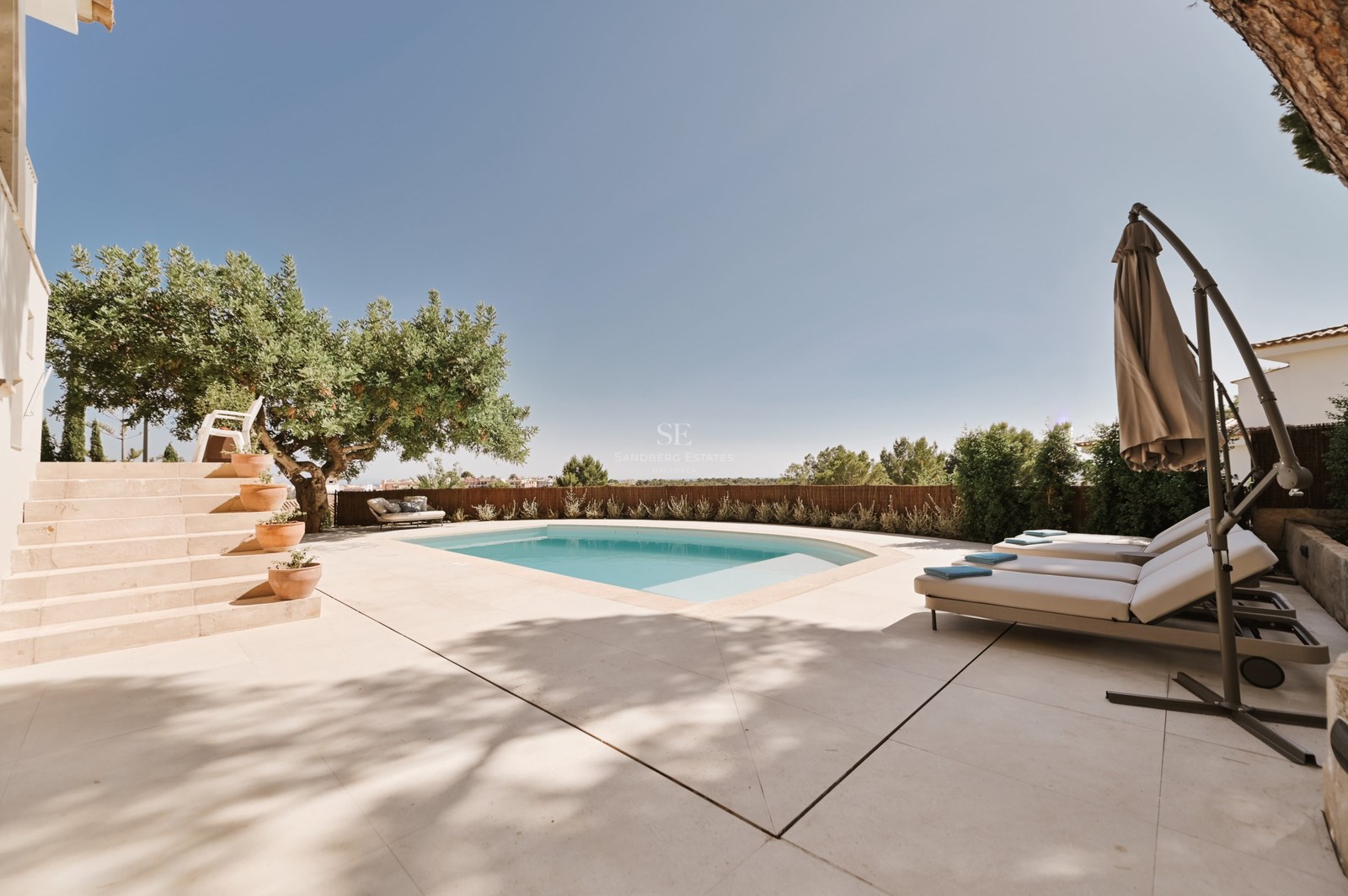 Piscina rectangular azul turquesa rodeada de una terraza de piedra clara con hamacas y un árbol frondoso.