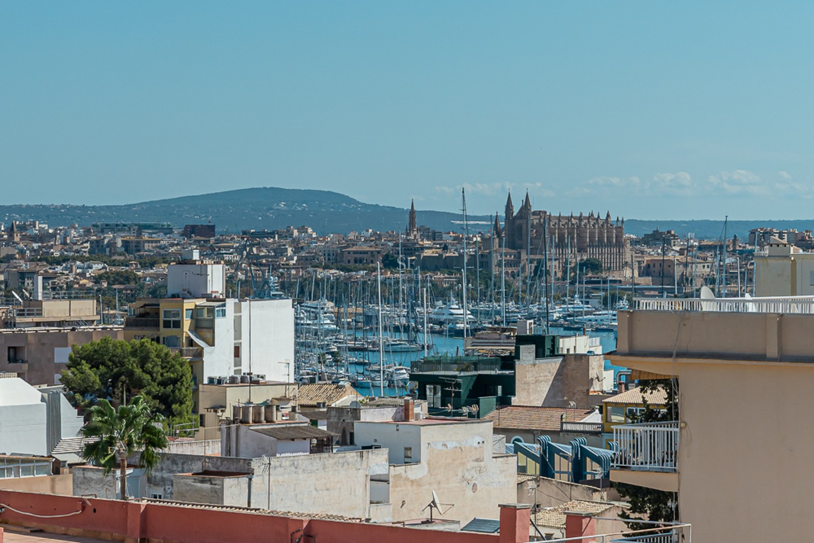 Vista elevada de los tejados de Palma hacia el puerto deportivo y la Catedral gótica bajo un cielo despejado.