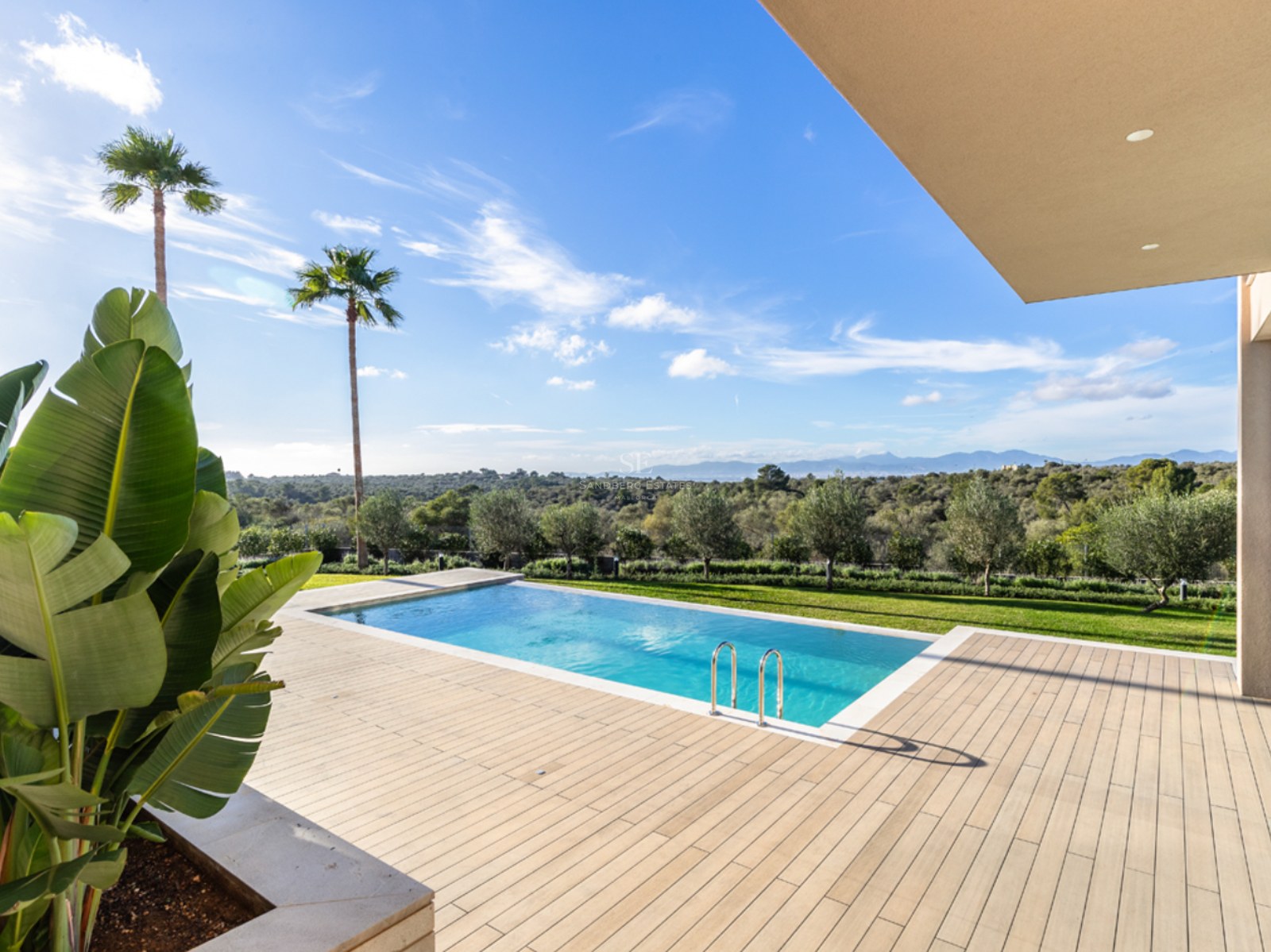 Piscine rectangulaire entourée d'une grande terrasse en bois clair surplombant une vallée verdoyante avec des palmiers.