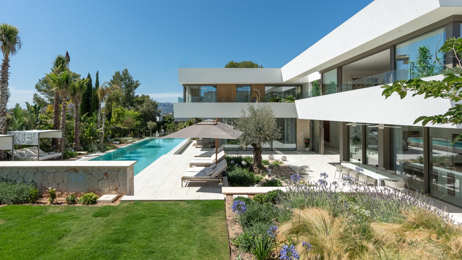 Modern white villa with a long turquoise lap pool, sun loungers, and Mediterranean landscaping under a clear blue sky.