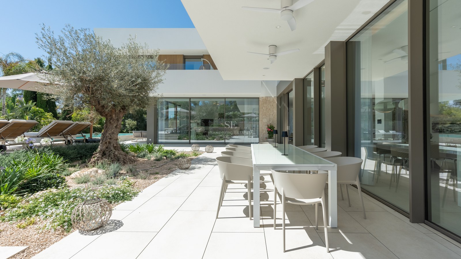 Contemporary villa terrace with white dining table, large glass windows, and a mature olive tree in the garden.