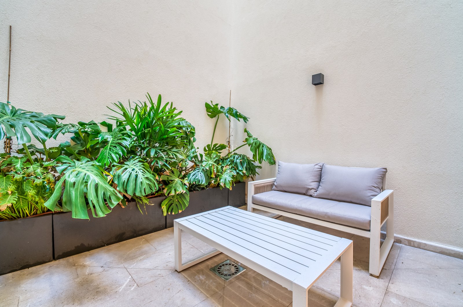 Canapé et table basse blancs sur patio en pierre avec Monstera et murs crème.