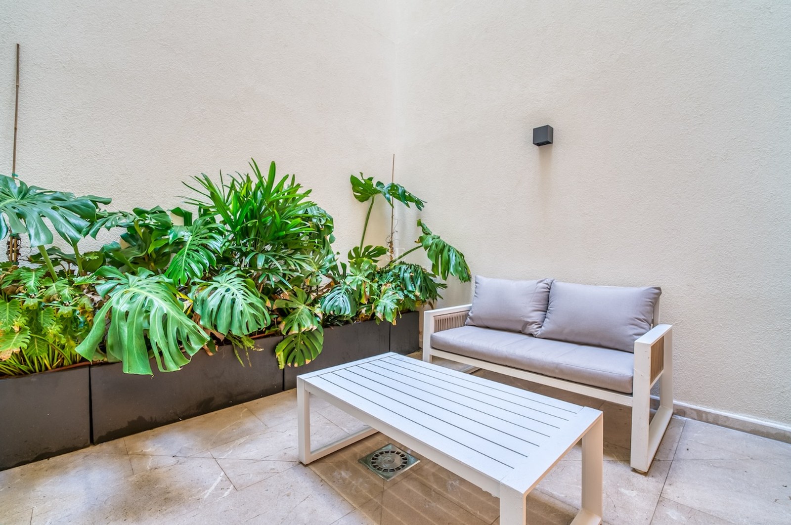 Canapé et table basse d'extérieur blancs sur un patio en pierre entouré de grandes plantes Monstera.