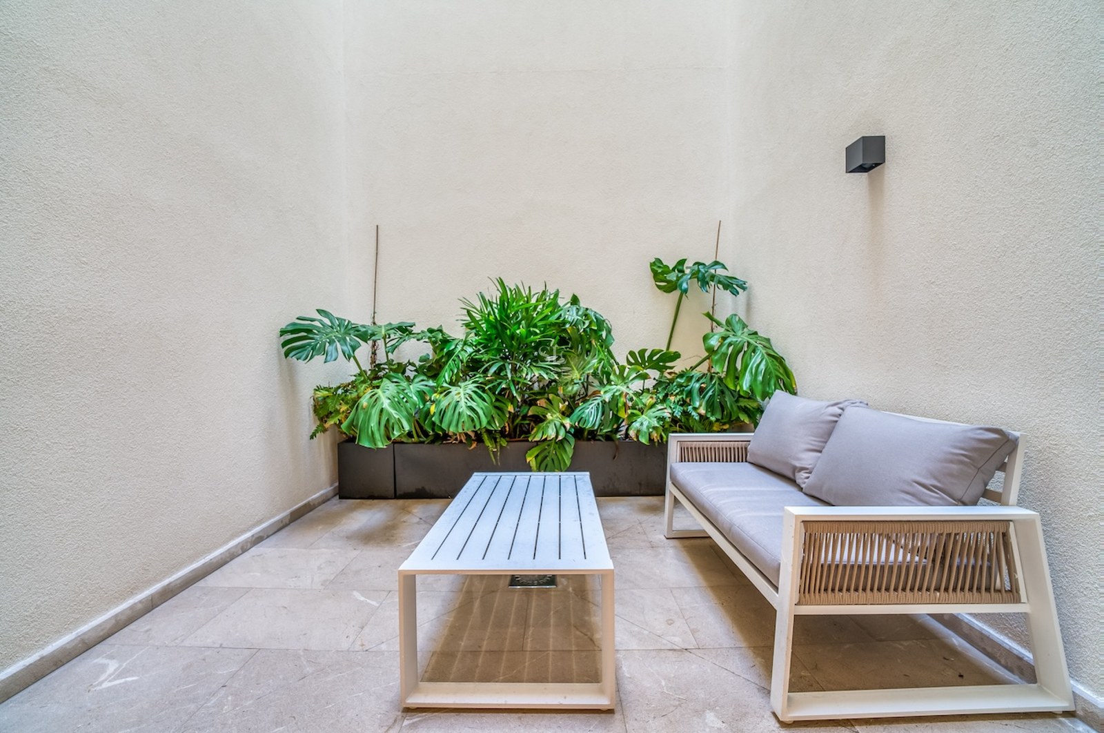 Terrasse minimaliste avec canapé blanc, table basse et jardinière de Monstera dans un patio intérieur.
