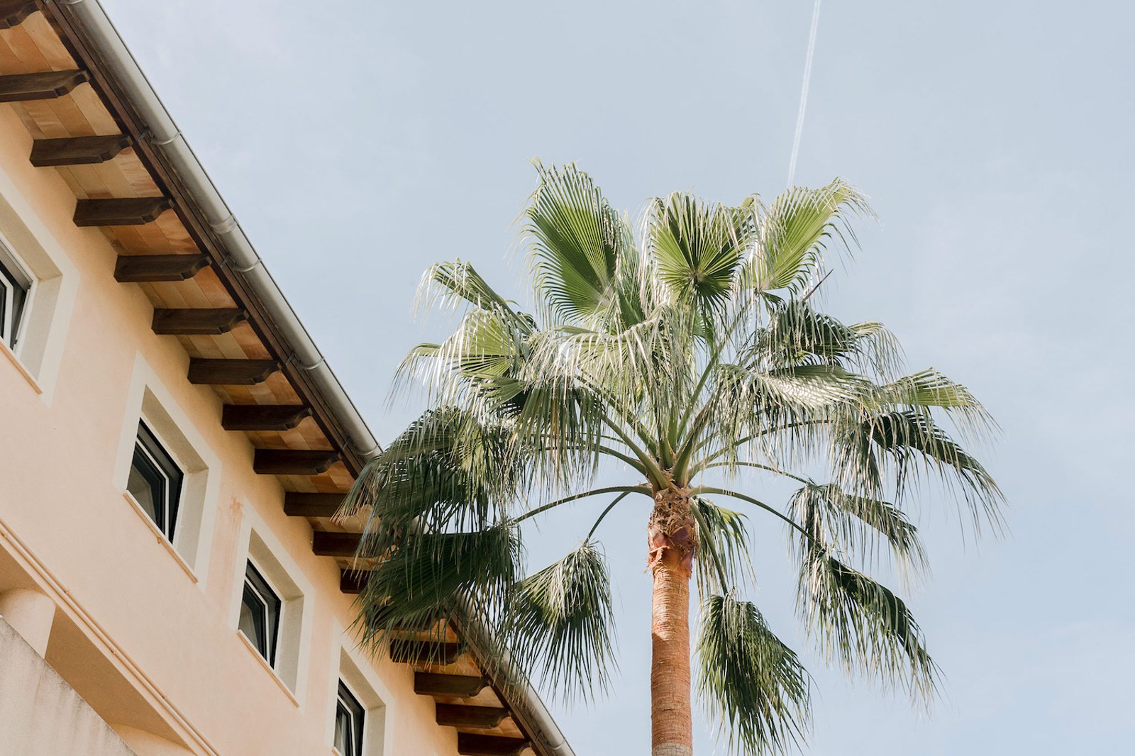 Vista de ángulo bajo de una villa color melocotón con vigas de madera y una palmera frente a un cielo azul.