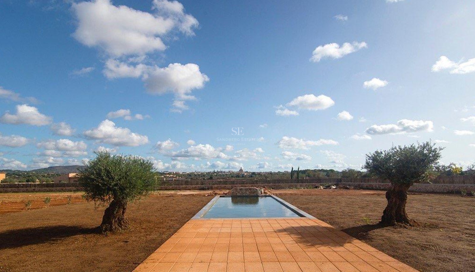 A rectangular swimming pool flanked by two mature olive trees under a blue sky in a rustic landscape.