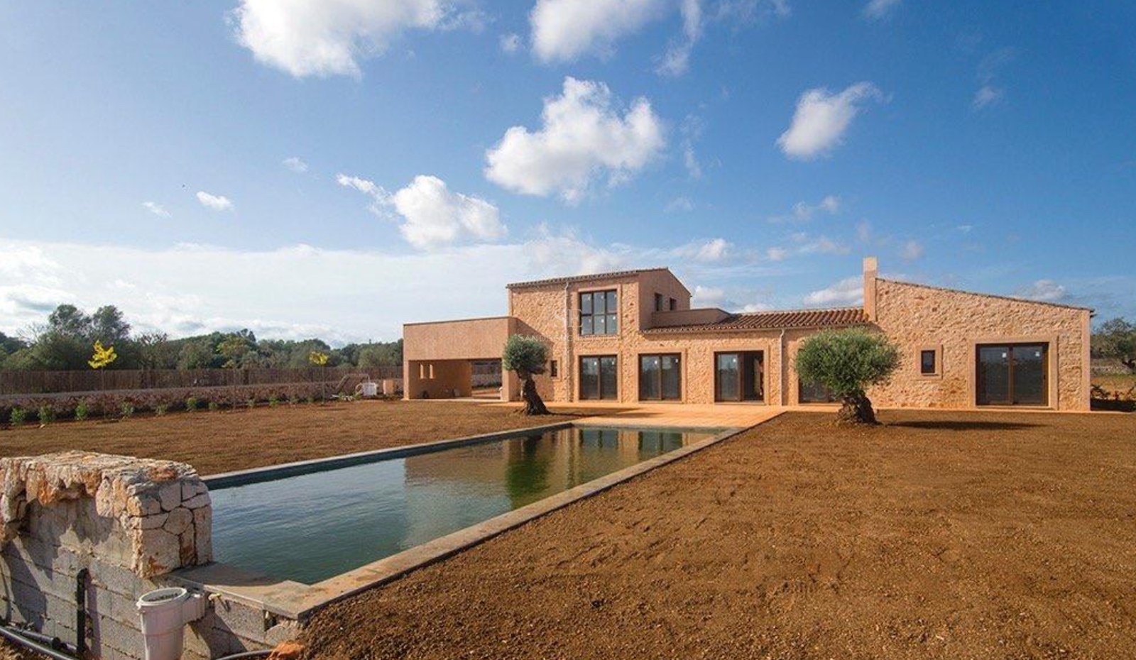 A contemporary stone villa featuring a long rectangular pool and olive trees under a clear blue sky.