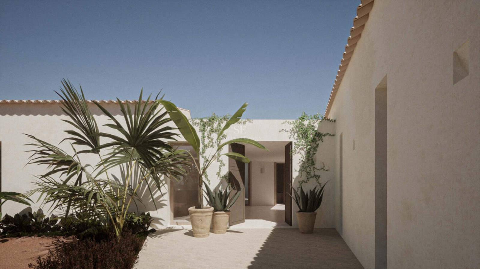 Sunlit courtyard with palm trees in clay pots leading to a minimalist villa entrance under a clear blue sky.