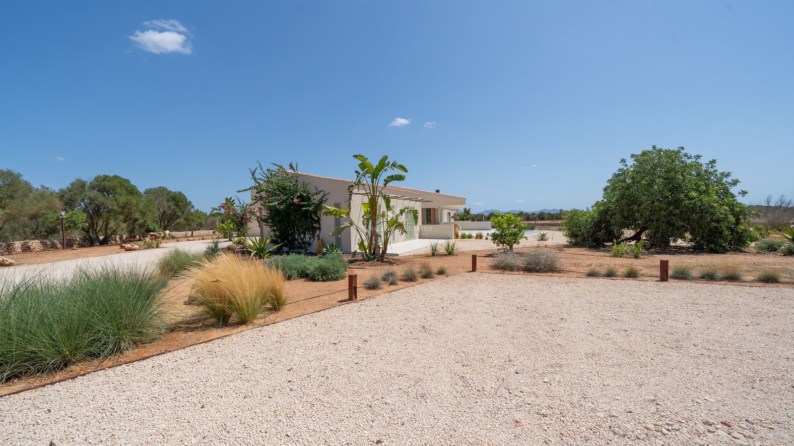 Exterior view of a modern one-story white villa with a gravel driveway and Mediterranean plants under a clear blue sky.