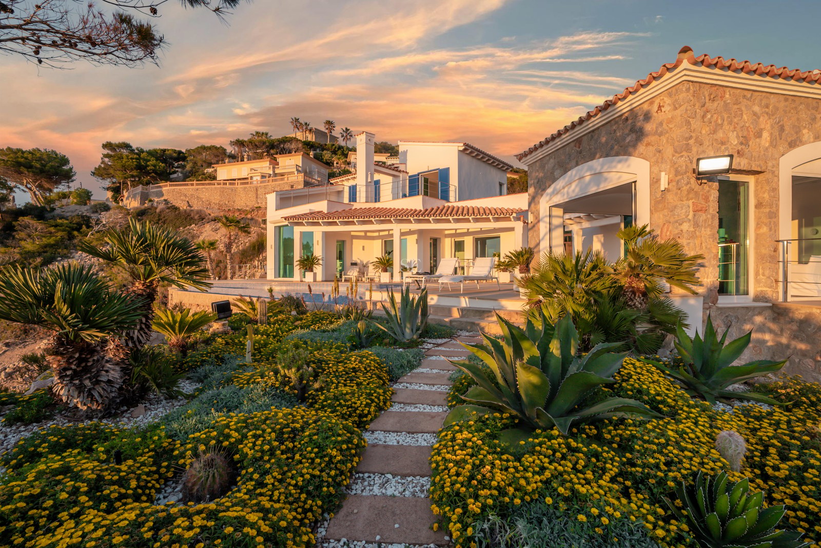 A modern Mediterranean villa at sunset featuring a landscaped garden with agave, yellow flowers, and an infinity pool.