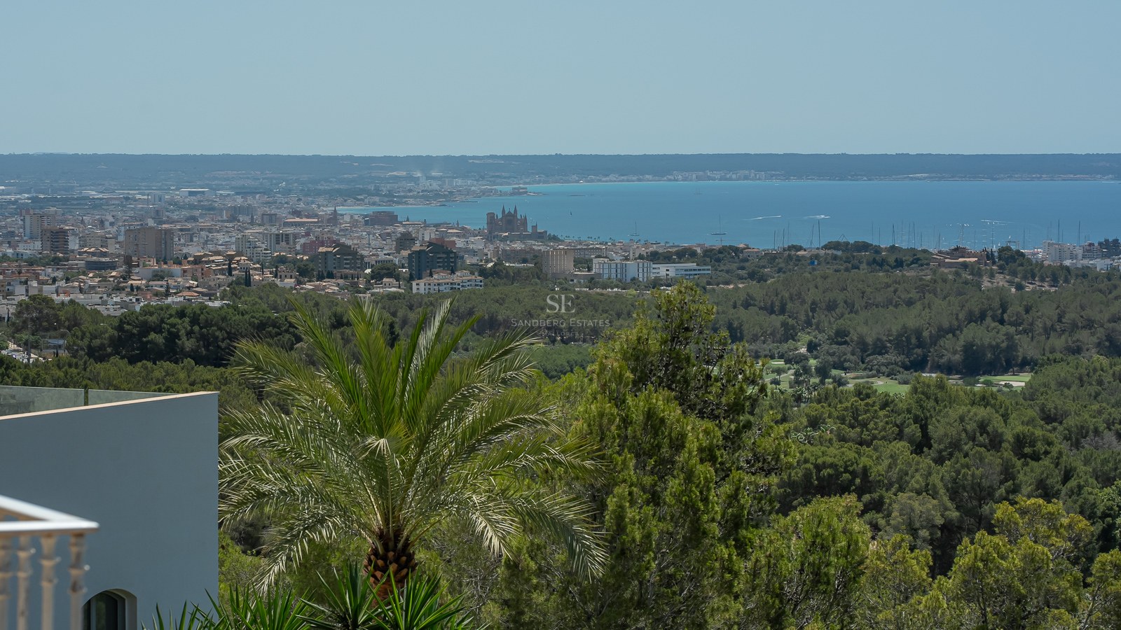 Vista elevada de la catedral de Palma y el puerto, rodeada de bosques de pinos y el horizonte del mar Mediterráneo.