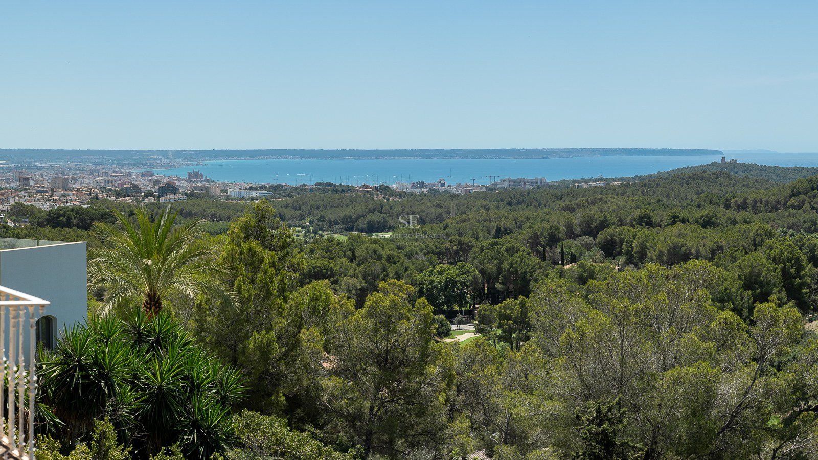 Vista elevada sobre un bosque de pinos hacia el mar Mediterráneo y la silueta de Palma bajo un cielo azul despejado.