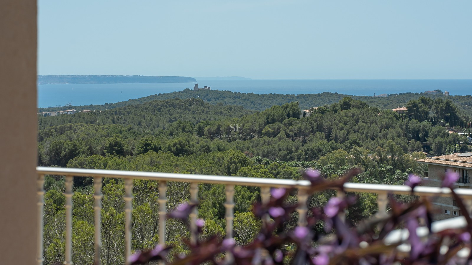 Vista desde un balcón hacia un denso bosque de pinos y el mar Mediterráneo azul bajo un cielo despejado.