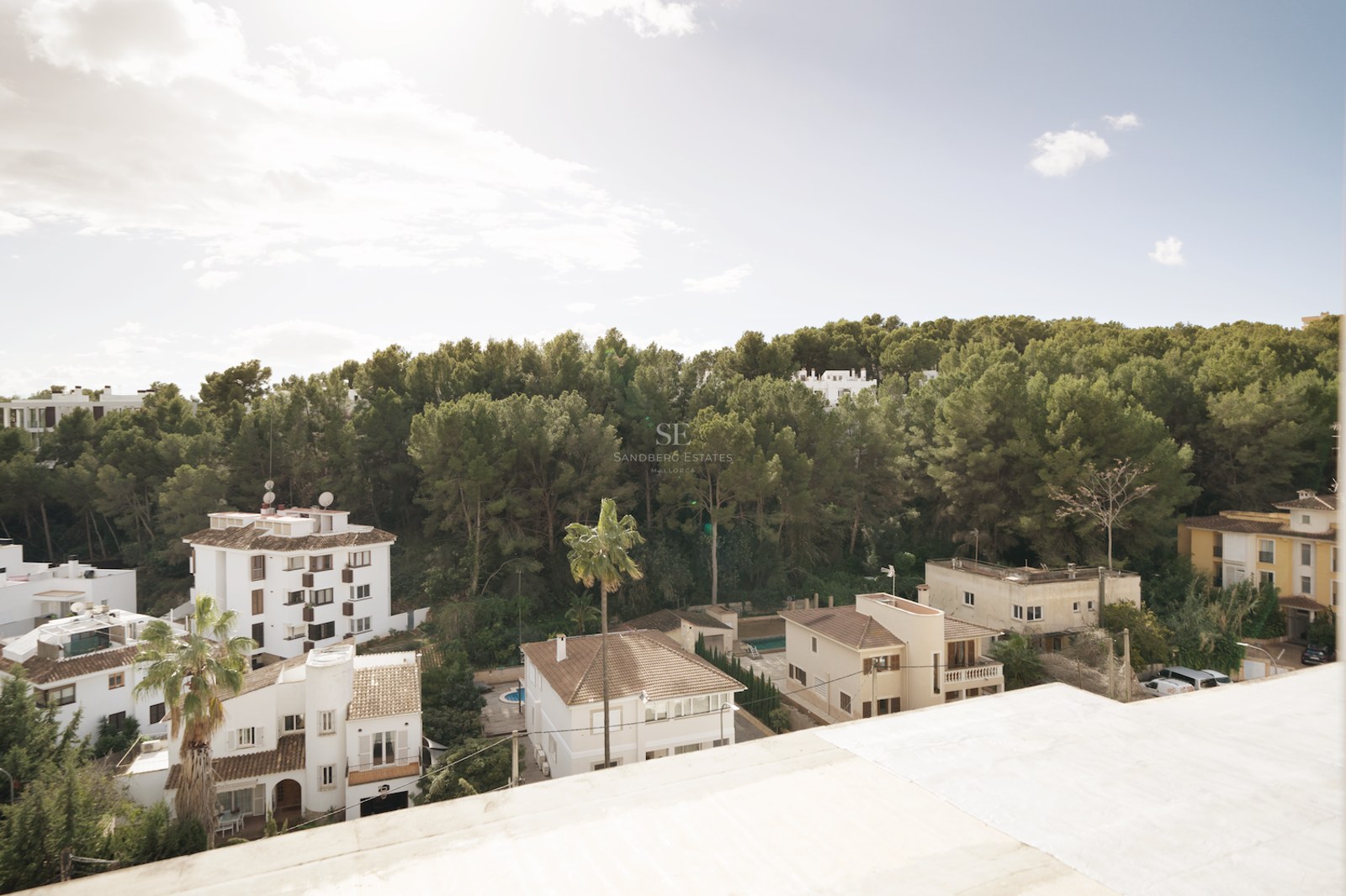 Vista desde una azotea hacia villas mediterráneas y un denso bosque de pinos bajo un cielo despejado.