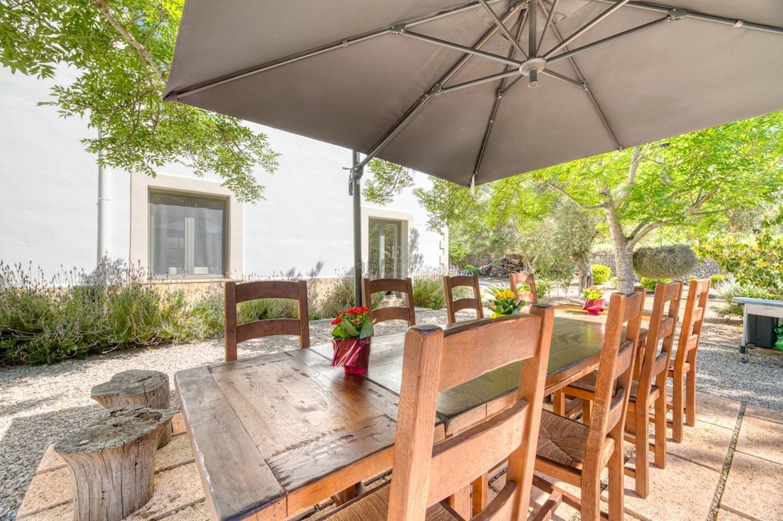 Grande table à manger en bois sous un parasol gris dans un jardin avec lavande et oliviers.