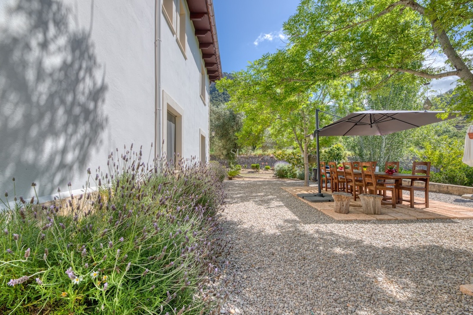 Table à manger en bois sous un parasol sur une terrasse en gravier bordée de lavande près d'une maison blanche.