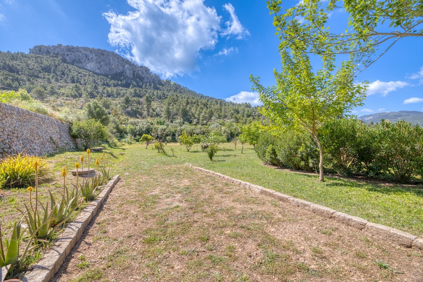 Jardin ensoleillé avec des chemins en pierre, de l'aloe vera et une montagne rocheuse en arrière-plan.
