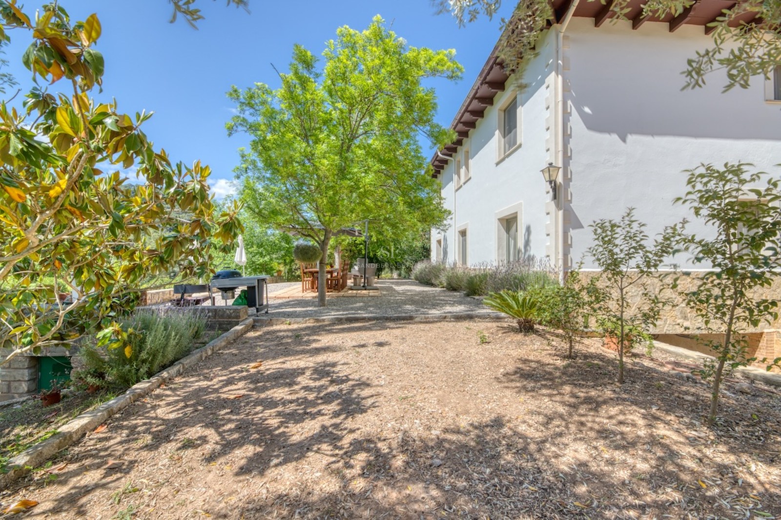 Jardin de gravier ensoleillé avec arbres, table à manger extérieure et façade de maison blanche.