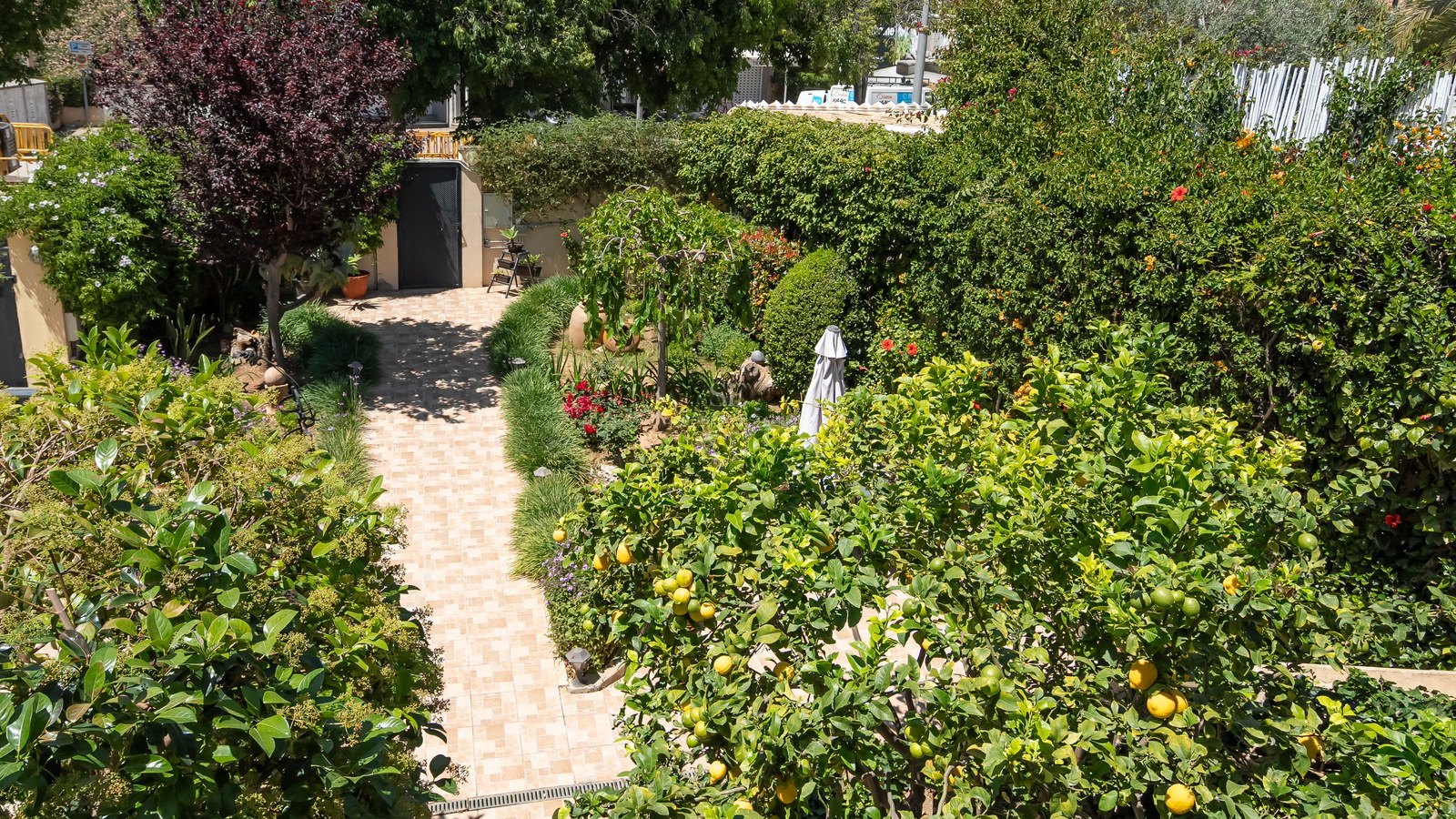 Allée carrelée à travers un jardin luxuriant avec des agrumes et de hautes haies sous un soleil radieux.
